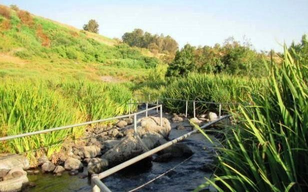 תמונה מתוך תוכן באתר למטייל בישראל (טיולי)