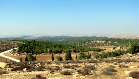 תמונה של יער יתיר ושביל המתקנים החקלאיים - למטייל בישראל (טיולי)