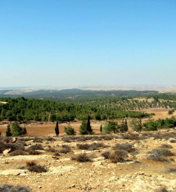 תמונה של יער יתיר ושביל המתקנים החקלאיים - למטיל בישראל