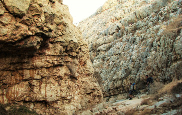 טיול למטיבי לכת לגלבוע: ממתלול אבינדב לנחל יצפור - טיול למטיבי לכת בגלבוע: ממתלול אבינדב לנחל יצפור (3)