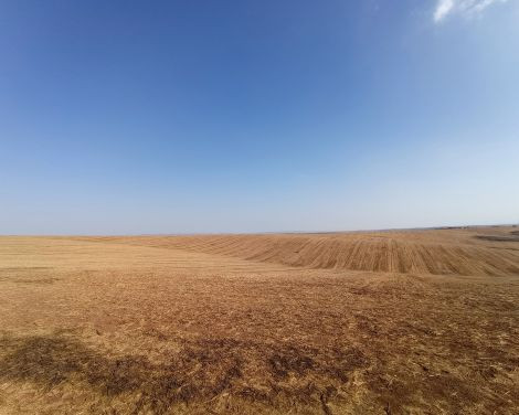 תמונה מתוך למטייל בישראל (טיולי)