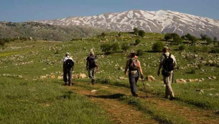 מסלול אוהבי לכת בחרמון - טיול אוהבי לכת באזור החרמון (1)