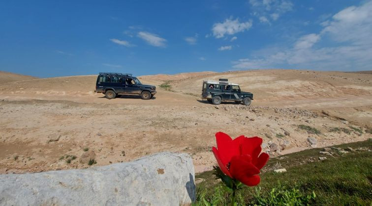 תמונה של מבלים עם הילדים: אטרקציות מומלצות למשפחות - למטייל בישראל (טיולי)