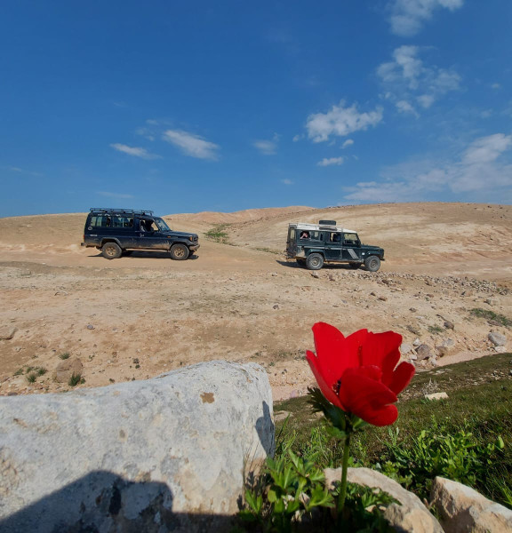 תמונה של מבלים עם הילדים: אטרקציות מומלצות למשפחות - למטייל בישראל (טיולי)