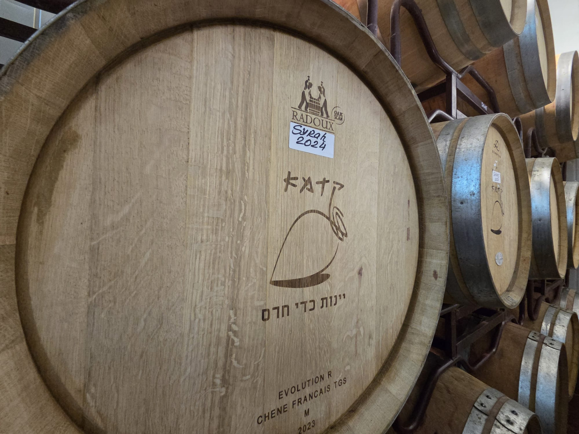 יינות בכדי חרס. יקב קדמא. צילום: קטיה אגינוב