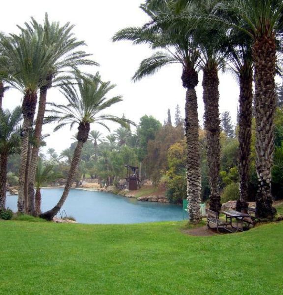 תמונה של סלינו על כתפינו: סלי הפיקניק והאתרים השווים לבילוי של שבועות - למטייל בישראל (טיולי)