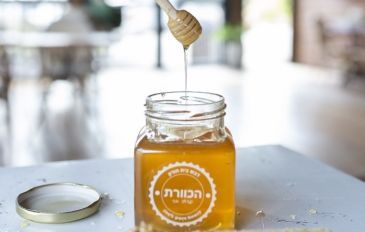 מרכז מבקרים הכוורת: חוויה מתוקה לכל המשפחה ליד הבית (3)