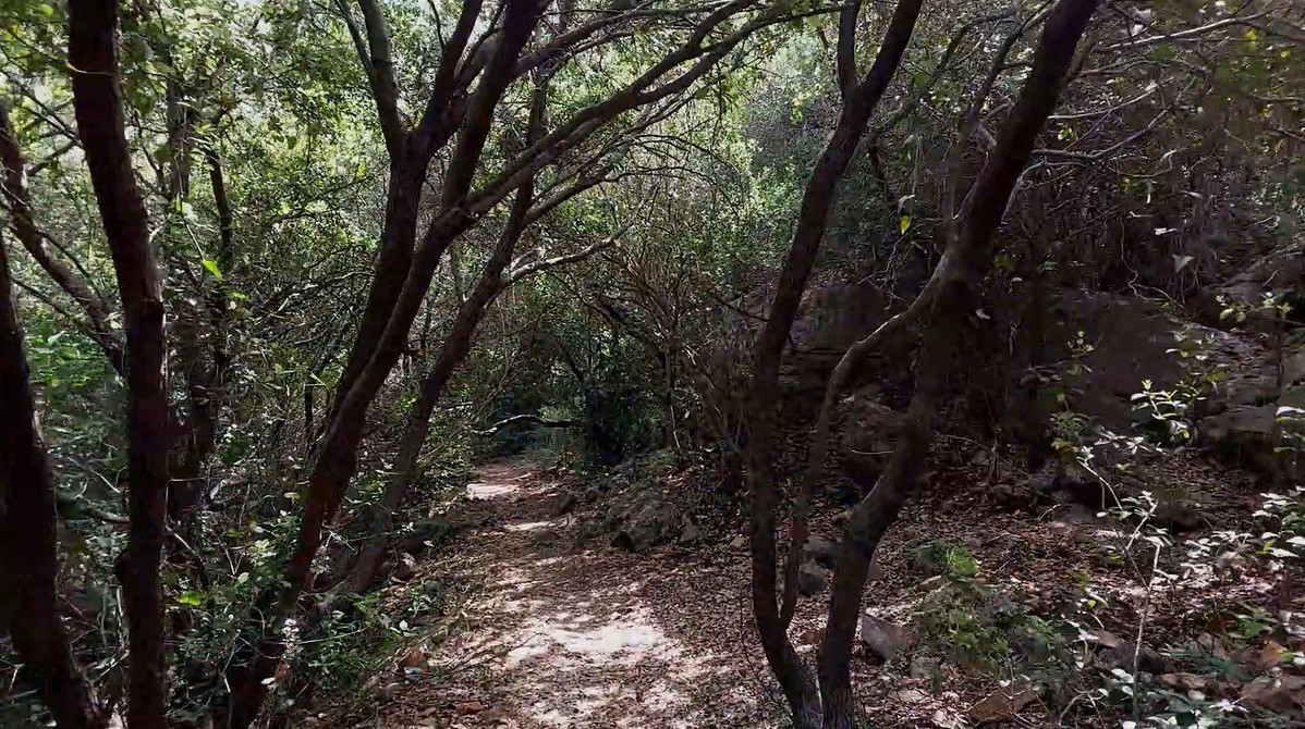 שביל המעפילים | צילום: אפרת בן חמו