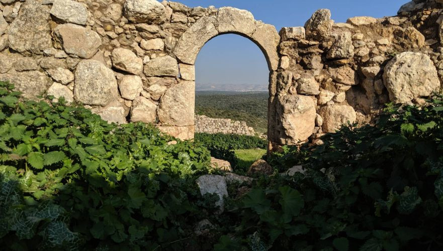 צילום: עומר זיו