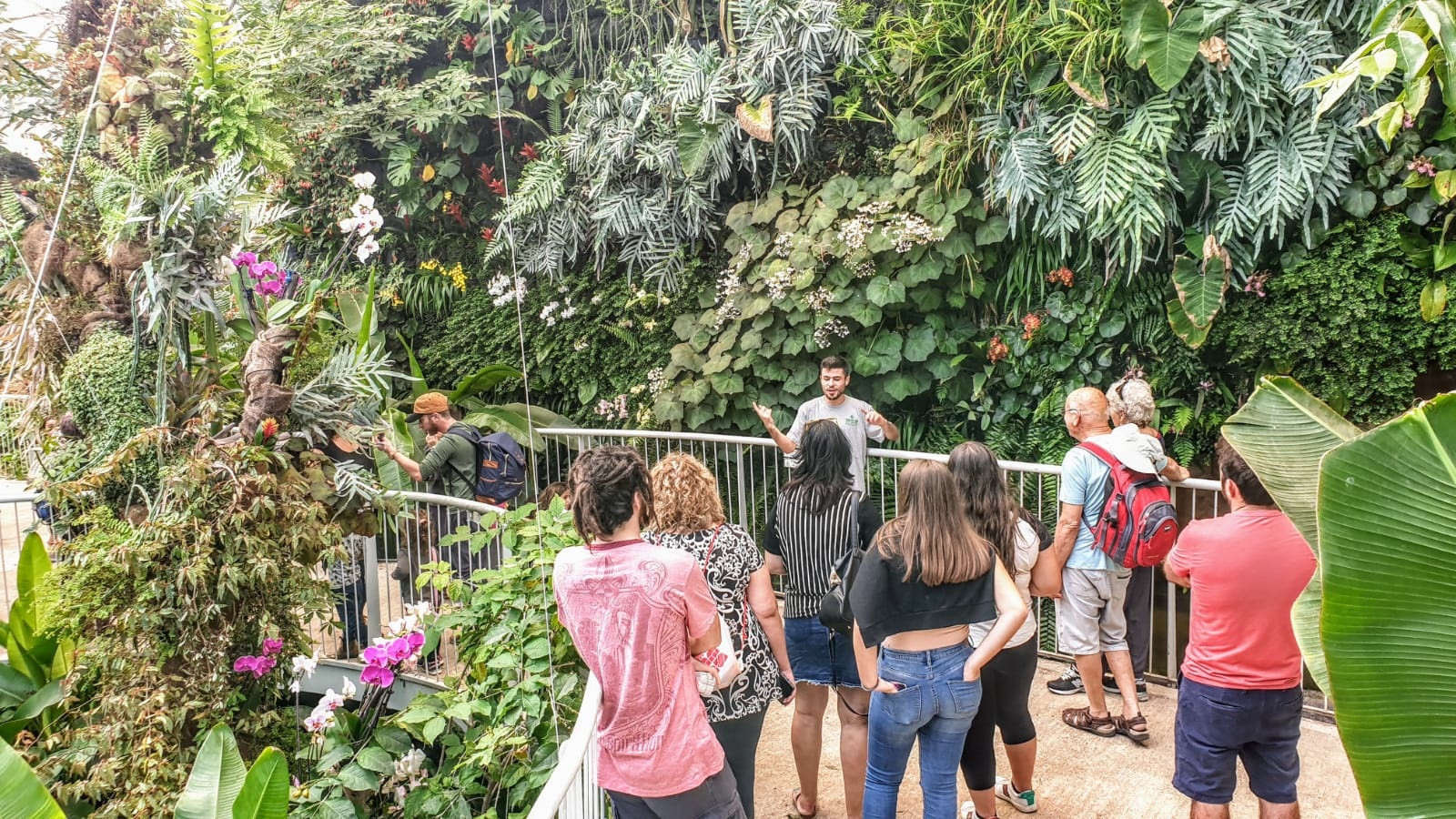 סיור בחממה הטרופית | צילום: תום עמית