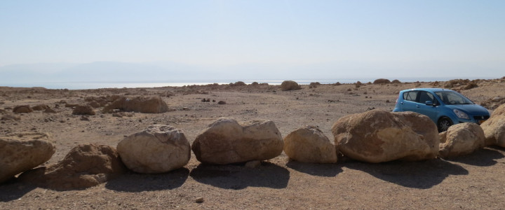 נחל צאלים תחתון (1)