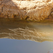 תמונה מתוך למטייל בישראל (טיולי)