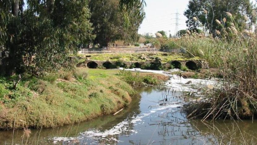 פריטור - טבע תל אביבי תוסס בין שבע טחנות לראש ציפור (1)