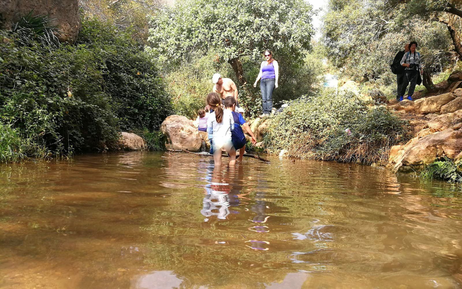 כאן משתכשכים בכיף. צילום: גילה יעקבי גורביץ