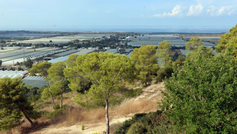 הנוף הנשקף ממצפה עופר ביער חוף הכרמל - יער חוף הכרמל (1)