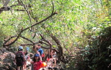 סובב כנרת דומוס גליליאה מפל נסתר, מג'רסה ועוד... (3)
