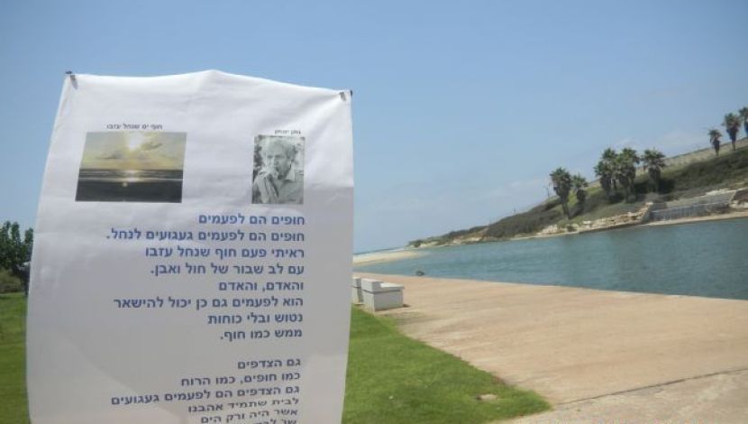 חופים הם געגועים לנחל - 