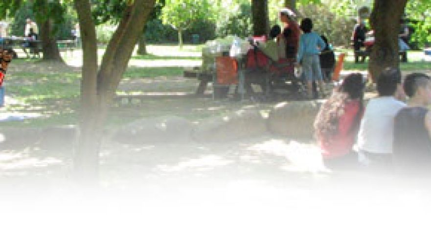 תמונה מתוך תוכן באתר למטייל בישראל (טיולי)