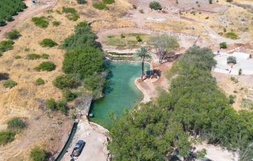 עין שוקק (2)