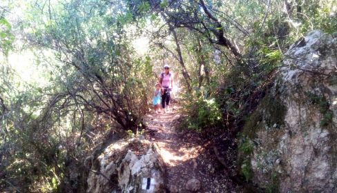 תמונה של מערת אצבע, עתלית וחרבת קרתה - למטייל בישראל (טיולי)