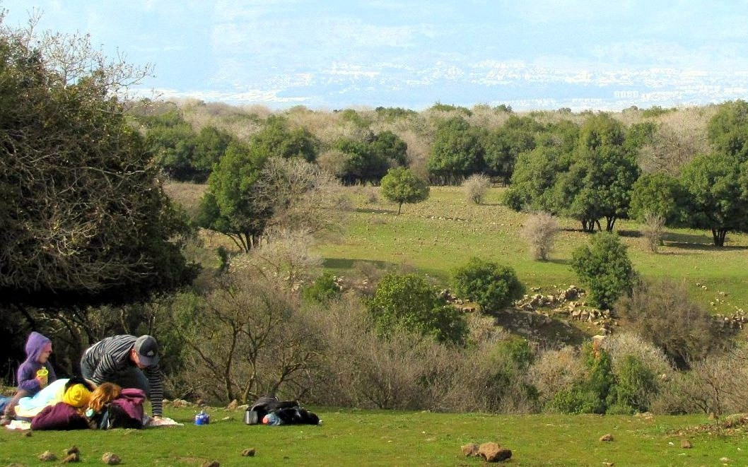 תמונה מתוך תוכן באתר למטייל בישראל (טיולי)