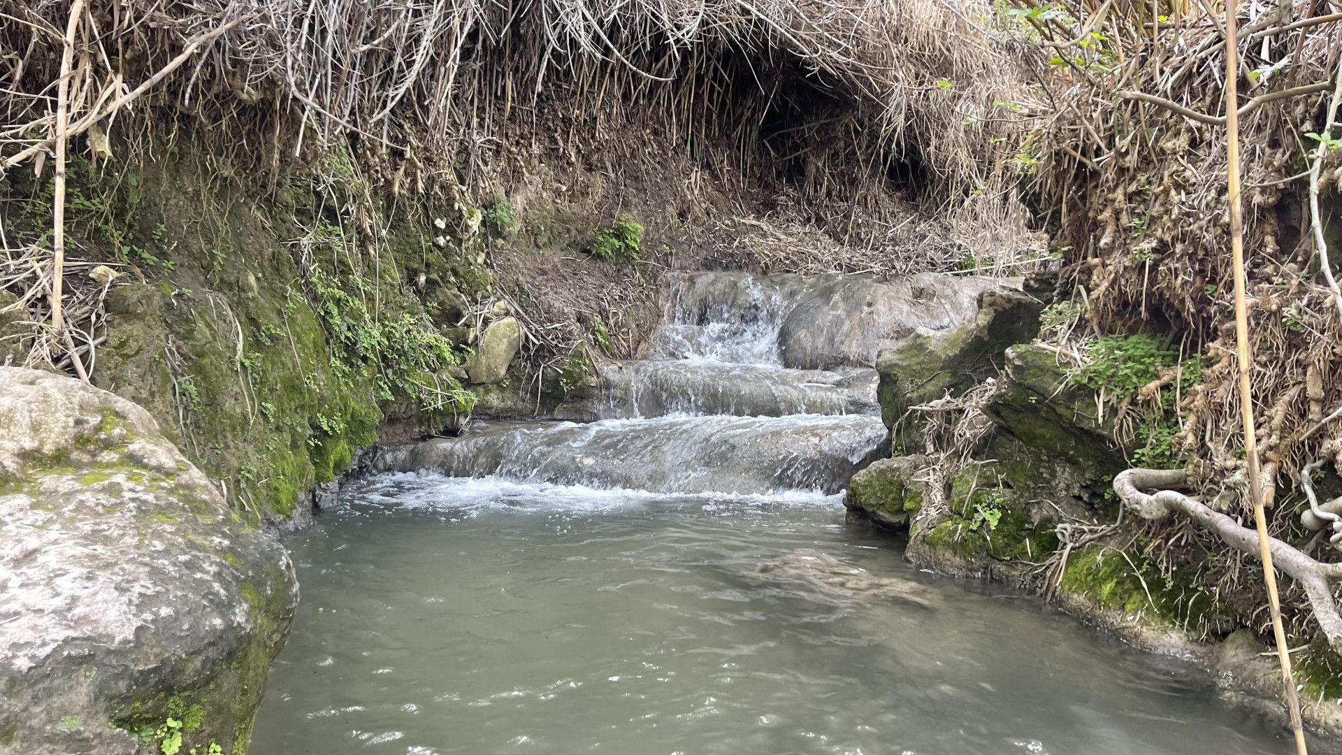 צילום: פז פרחי