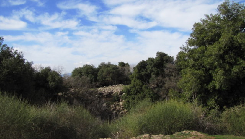 הג'ובה היפה (1)