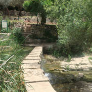 תמונה מתוך למטייל בישראל (טיולי)