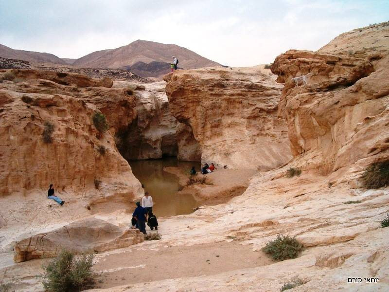 צילום: יוחאי כורם