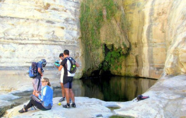עין עקב (2)