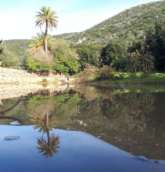 תמונה של האגם הנעלם – נחל אורן - למטייל בישראל (טיולי)