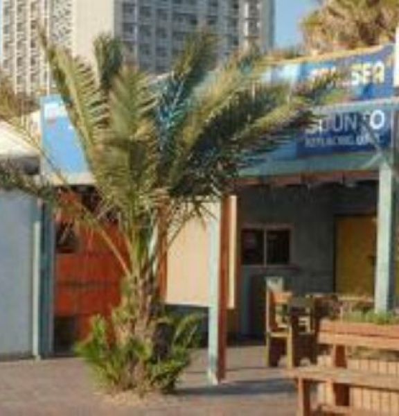 תמונה של מועדון צלילה דוגית - למטייל בישראל (טיולי)