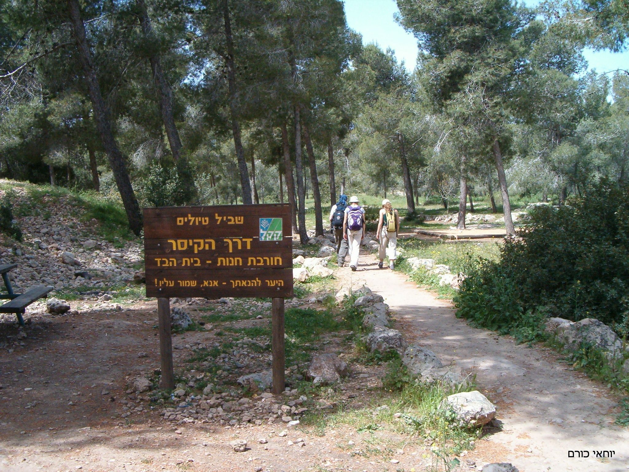 בדרך אל בית הבד | צילום: יוחאי כורם