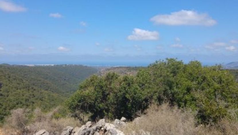 טיול צעירים (20-38) בנחל כזיב והמונפורט – הנחל הכי יפה בגליל (1)