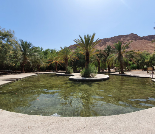 תמונה של לאן מטיילים בשבת: שמורה סודית ומסלול אתגרי משפחתי בים המלח - למטייל בישראל (טיולי)