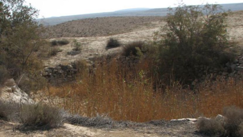 בורות לוץ ונחל אלות (1)