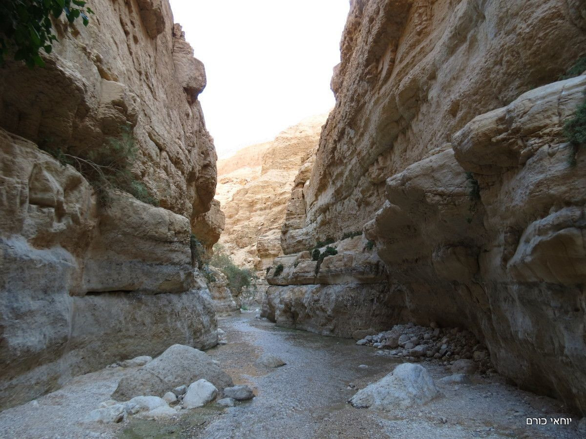 נחל ערוגות. צילום: יוחאי כורם
