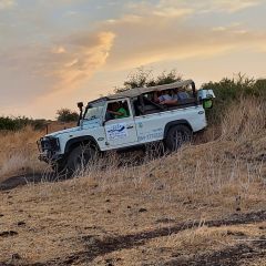 תמונה של חצבני: טיולי ג'יפים וחוויות שטח - למטיל בישראל
