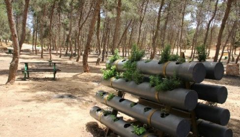 תמונה של חניון האורנים ביער להב - למטייל בישראל (טיולי)