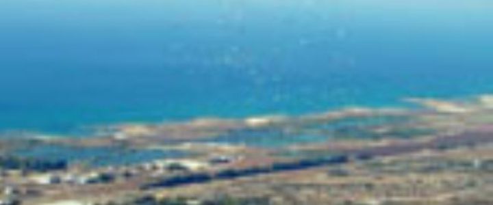 נשר מצנחי רחיפה (1)