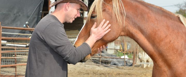 משק שמואלי (1)