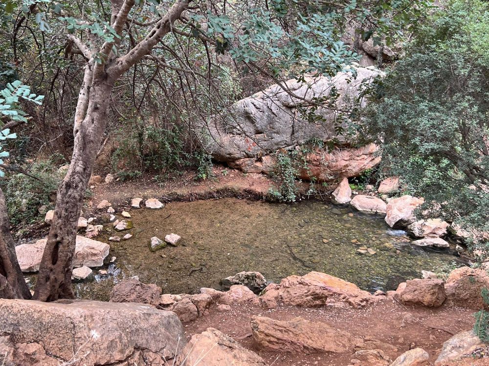 נחל צלמון - קרדיט צילום צ. סטודיו