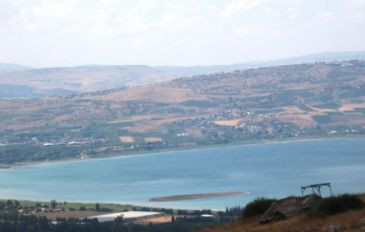 יער מבוא  חמה ועין תאופיק - עין תאופיק ויער מבוא חמה (3)