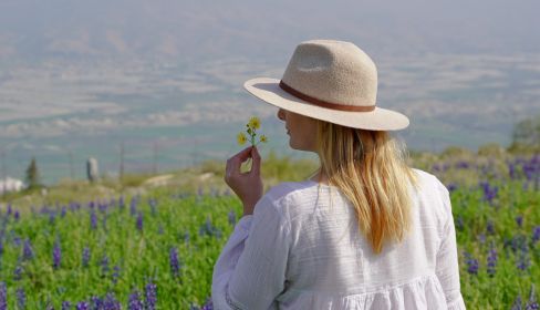 תמונה של מצפה אריק שטרית בחמדת: פריחת התורמוסים בבקעת הירדן - למטייל בישראל (טיולי)