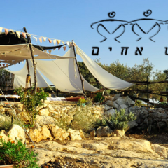 תמונה של שבט אחים: מתחם אירוח, אירועים וסדנאות בעמק יזרעאל - למטיל בישראל