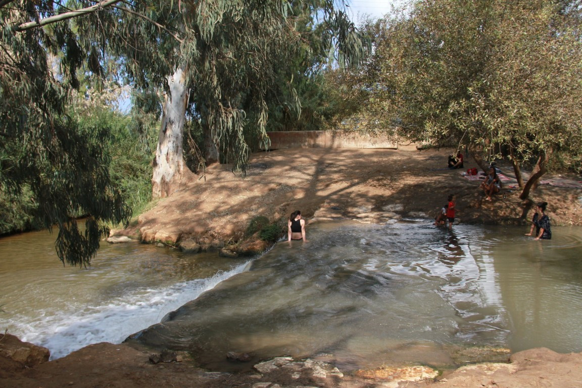 צילום: אורלי גנוסר