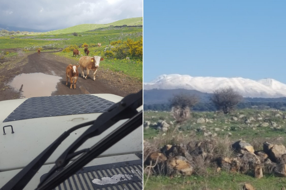 מראות יפים ובוציים | צילום: טיולי החיים הטובים