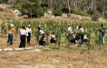נטיעות בחוות הכרם - סוכות עם ערך מוסף: לבלות בחג ולתרום למתמודדים עם פוסט טראומה (3)