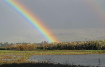 חורף צבעוני בשמורות הטבע והגנים - סיבות טובות לצאת מהפוך - חוויות חורפיות בטבע (2)