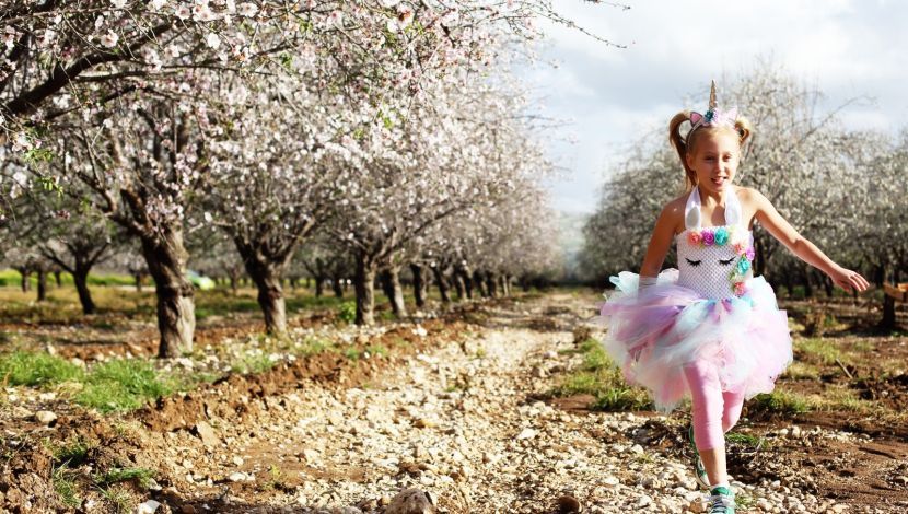מתחפשים ומטיילים: טיולים ססגוניים שיעשו לכם את החג (1)